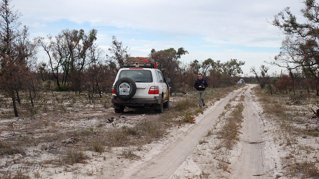 09-Rodney from MoneyEater stops to check out the desert vegetation.JPG